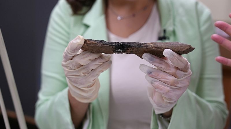 Bone Tools: Our Ancestors Mastered Them a Million Years Sooner Than Believed