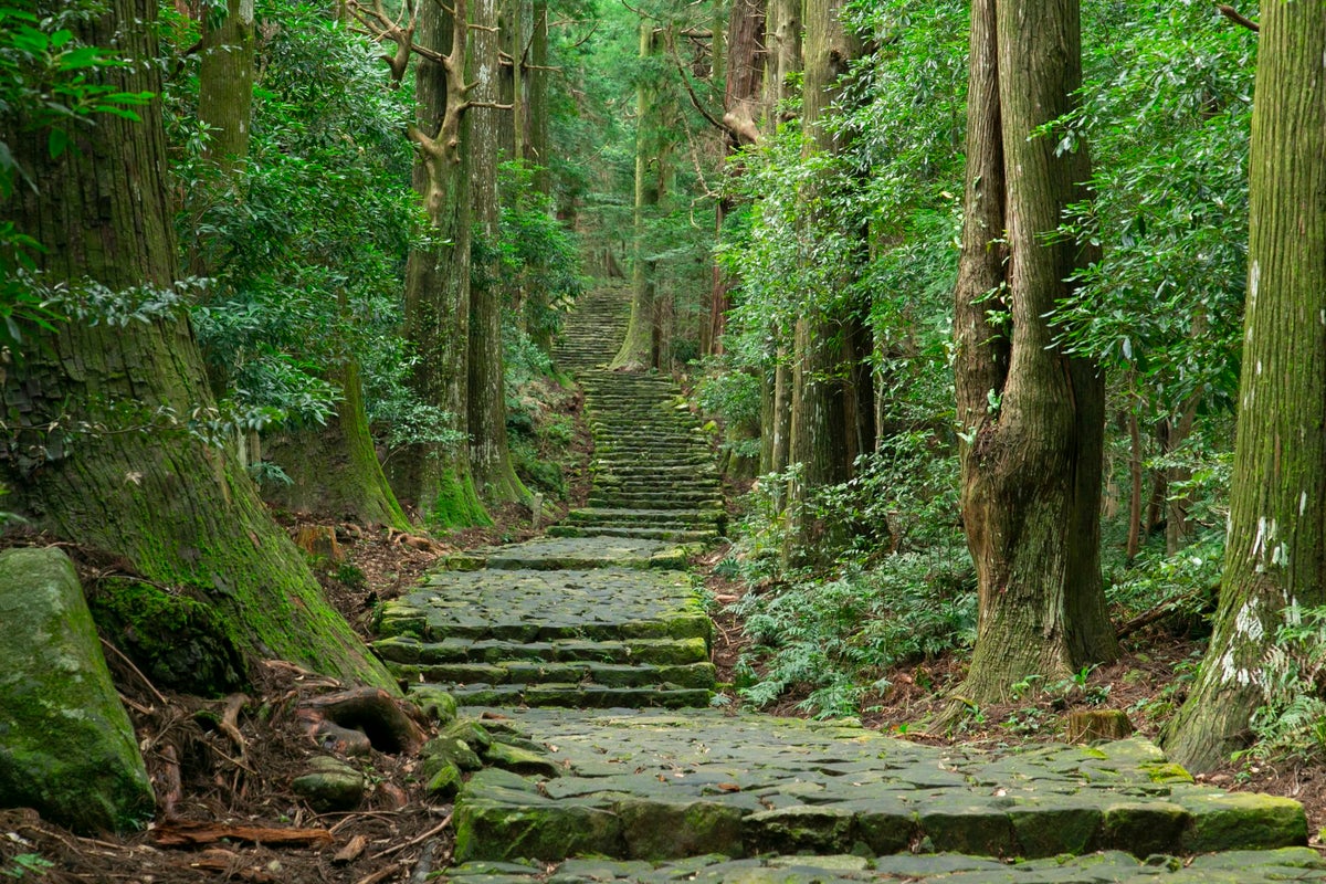 What It's Really Like Hiking Japan’s Sacred Kumano Kodo Trail